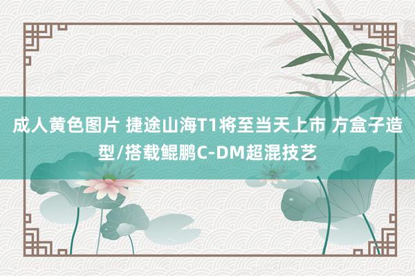 成人黄色图片 捷途山海T1将至当天上市 方盒子造型/搭载鲲鹏C-DM超混技艺