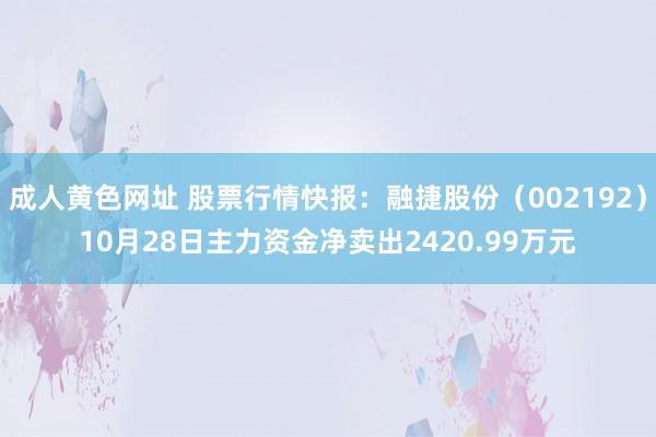 成人黄色网址 股票行情快报：融捷股份（002192）10月28日主力资金净卖出2420.99万元