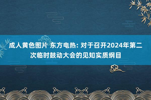 成人黄色图片 东方电热: 对于召开2024年第二次临时鼓动大会的见知实质纲目