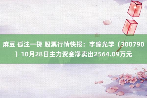 麻豆 孤注一掷 股票行情快报：宇瞳光学（300790）10月28日主力资金净卖出2564.09万元