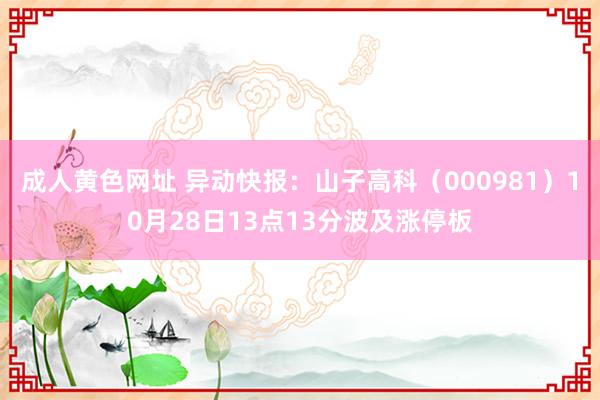 成人黄色网址 异动快报：山子高科（000981）10月28日13点13分波及涨停板