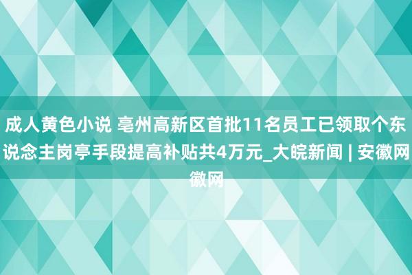 成人黄色小说 亳州高新区首批11名员工已领取个东说念主岗亭手段提高补贴共4万元_大皖新闻 | 安徽网