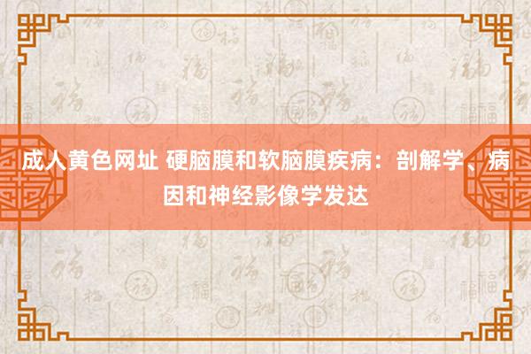 成人黄色网址 硬脑膜和软脑膜疾病：剖解学、病因和神经影像学发达