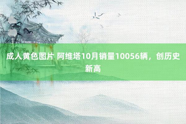 成人黄色图片 阿维塔10月销量10056辆，创历史新高