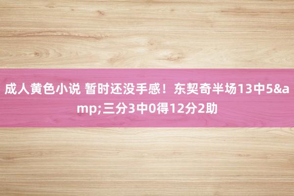 成人黄色小说 暂时还没手感！东契奇半场13中5&三分3中0得12分2助