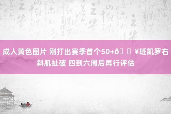 成人黄色图片 刚打出赛季首个50+😥班凯罗右斜肌扯破 四到六周后再行评估