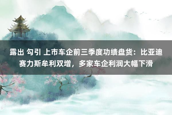 露出 勾引 上市车企前三季度功绩盘货：比亚迪赛力斯牟利双增，多家车企利润大幅下滑