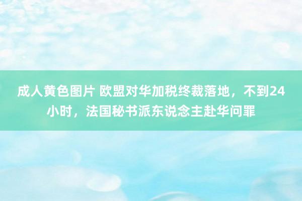 成人黄色图片 欧盟对华加税终裁落地，不到24小时，法国秘书派东说念主赴华问罪