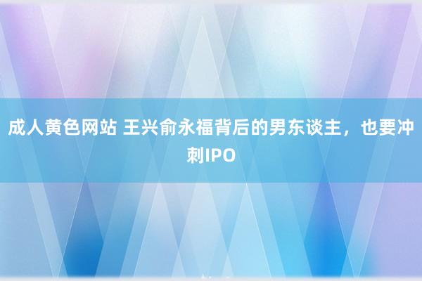 成人黄色网站 王兴俞永福背后的男东谈主，也要冲刺IPO