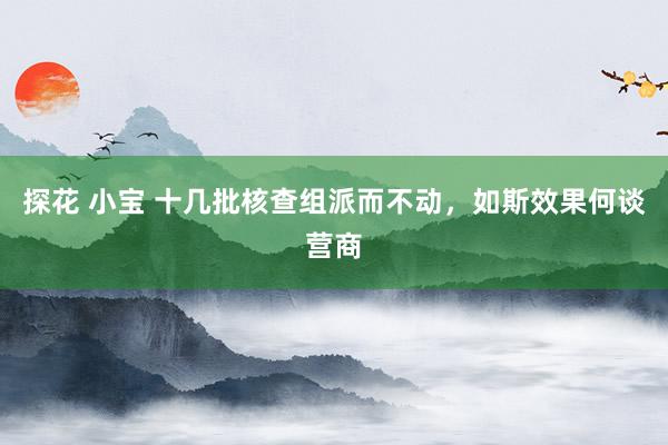 探花 小宝 十几批核查组派而不动，如斯效果何谈营商