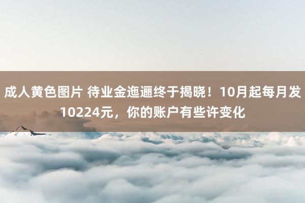 成人黄色图片 待业金迤逦终于揭晓！10月起每月发10224元，你的账户有些许变化