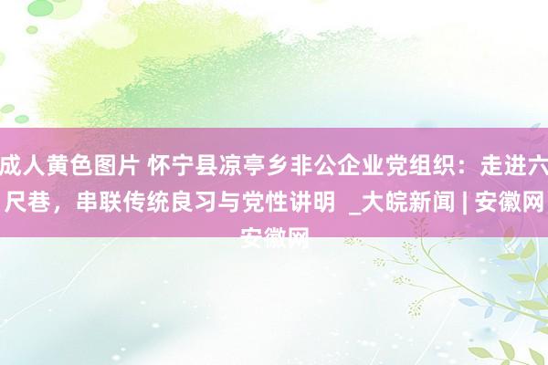 成人黄色图片 怀宁县凉亭乡非公企业党组织：走进六尺巷，串联传统良习与党性讲明  _大皖新闻 | 安徽网