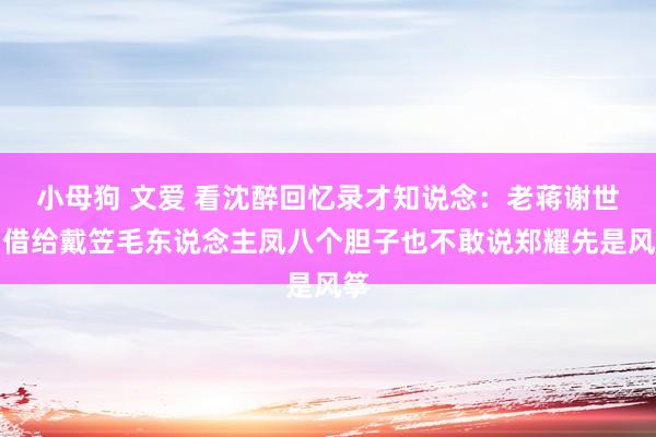 小母狗 文爱 看沈醉回忆录才知说念：老蒋谢世，借给戴笠毛东说念主凤八个胆子也不敢说郑耀先是风筝