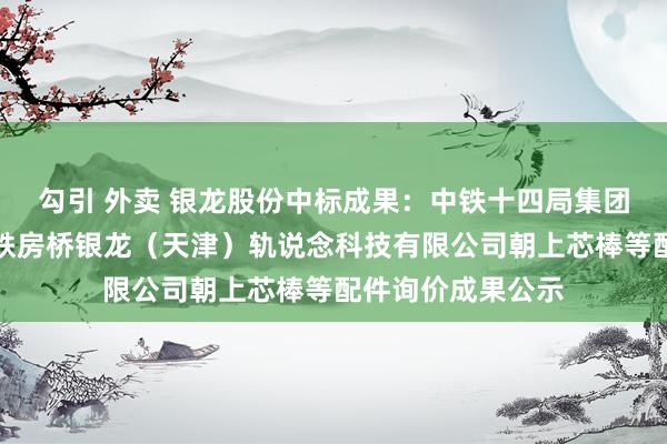 勾引 外卖 银龙股份中标成果：中铁十四局集团房桥有限公司中铁房桥银龙（天津）轨说念科技有限公司朝上芯棒等配件询价成果公示