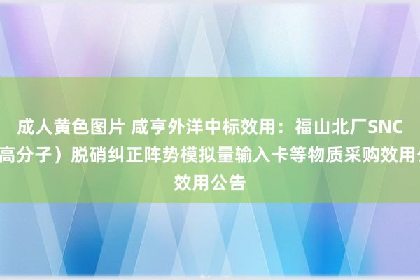 成人黄色图片 咸亨外洋中标效用：福山北厂SNCR（高分子）脱硝纠正阵势模拟量输入卡等物质采购效用公告