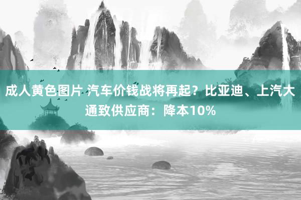 成人黄色图片 汽车价钱战将再起？比亚迪、上汽大通致供应商：降本10%