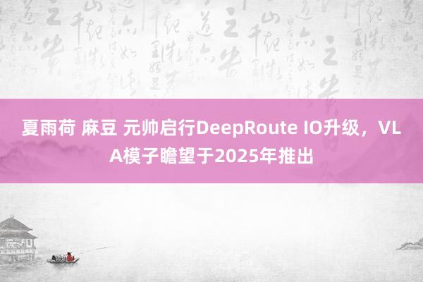 夏雨荷 麻豆 元帅启行DeepRoute IO升级，VLA模子瞻望于2025年推出