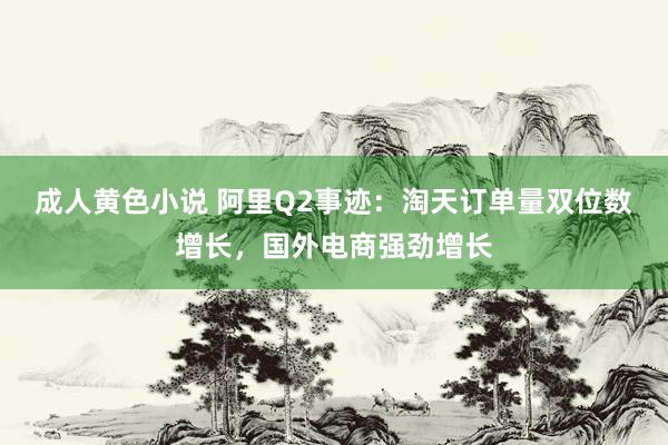 成人黄色小说 阿里Q2事迹：淘天订单量双位数增长，国外电商强劲增长