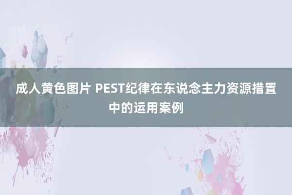 成人黄色图片 PEST纪律在东说念主力资源措置中的运用案例