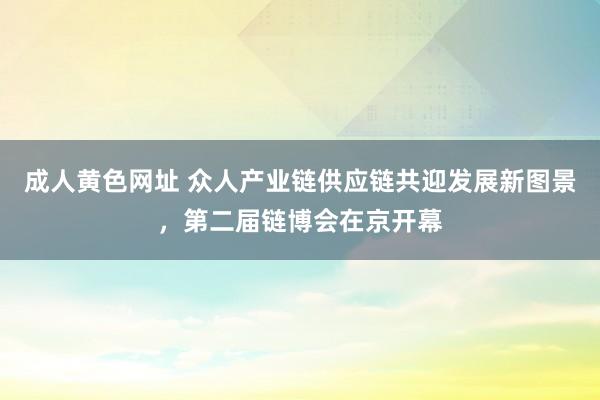 成人黄色网址 众人产业链供应链共迎发展新图景，第二届链博会在京开幕