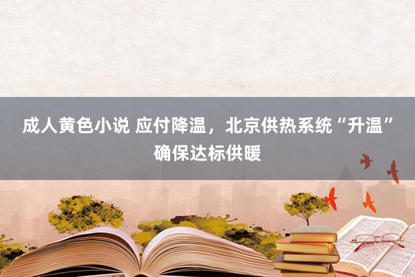 成人黄色小说 应付降温，北京供热系统“升温”确保达标供暖