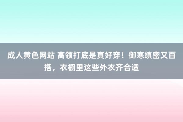 成人黄色网站 高领打底是真好穿！御寒缜密又百搭，衣橱里这些外衣齐合适