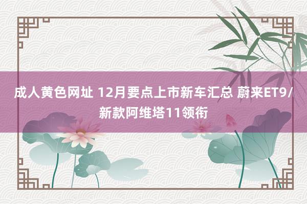 成人黄色网址 12月要点上市新车汇总 蔚来ET9/新款阿维塔11领衔