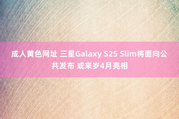 成人黄色网址 三星Galaxy S25 Slim将面向公共发布 或来岁4月亮相