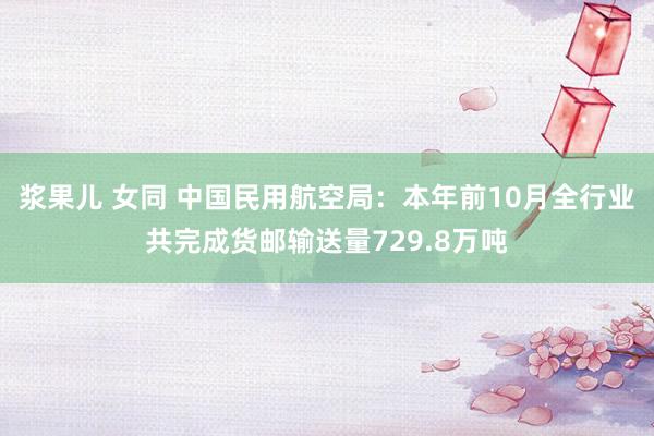 浆果儿 女同 中国民用航空局：本年前10月全行业共完成货邮输送量729.8万吨