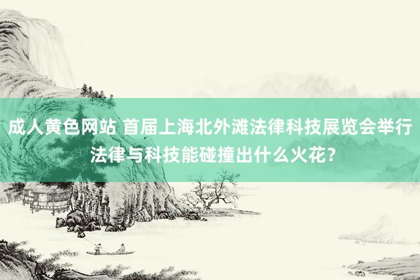 成人黄色网站 首届上海北外滩法律科技展览会举行 法律与科技能碰撞出什么火花？