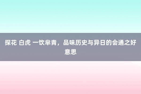 探花 白虎 一饮芈青，品味历史与异日的会通之好意思