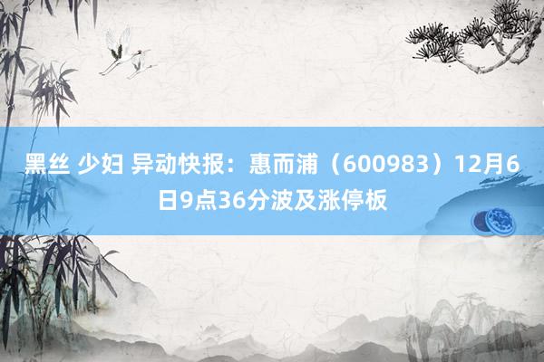 黑丝 少妇 异动快报：惠而浦（600983）12月6日9点36分波及涨停板