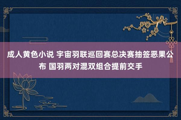 成人黄色小说 宇宙羽联巡回赛总决赛抽签恶果公布 国羽两对混双组合提前交手