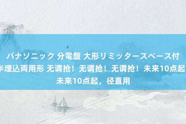 パナソニック 分電盤 大形リミッタースペース付 露出・半埋込両用形 无谓抢！无谓抢！无谓抢！未来10点起，径直用