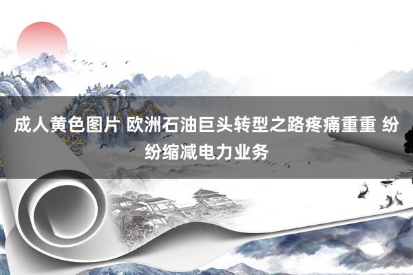 成人黄色图片 欧洲石油巨头转型之路疼痛重重 纷纷缩减电力业务