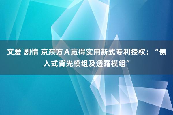 文爱 剧情 京东方Ａ赢得实用新式专利授权：“侧入式背光模组及透露模组”