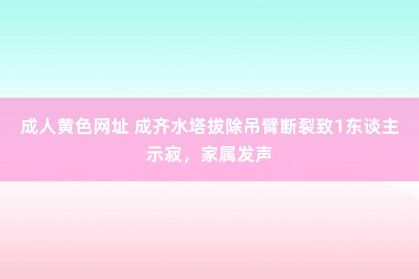 成人黄色网址 成齐水塔拔除吊臂断裂致1东谈主示寂，家属发声