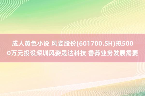 成人黄色小说 风姿股份(601700.SH)拟5000万元投设深圳风姿晟达科技 鲁莽业务发展需要