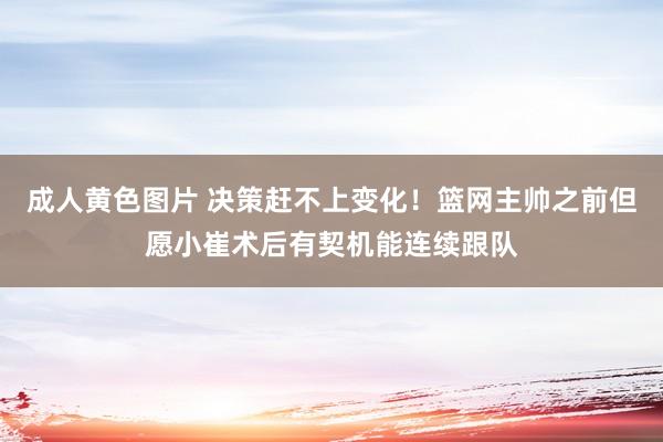 成人黄色图片 决策赶不上变化！篮网主帅之前但愿小崔术后有契机能连续跟队