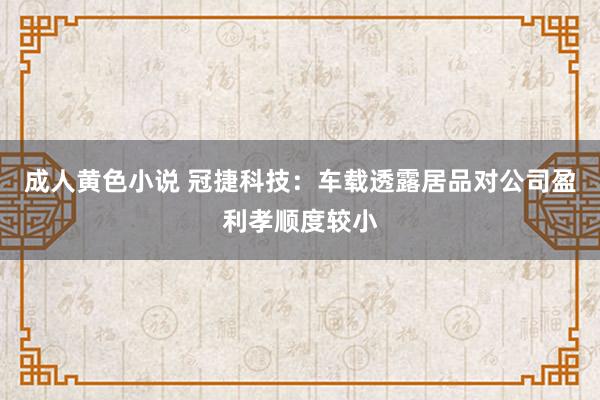 成人黄色小说 冠捷科技：车载透露居品对公司盈利孝顺度较小