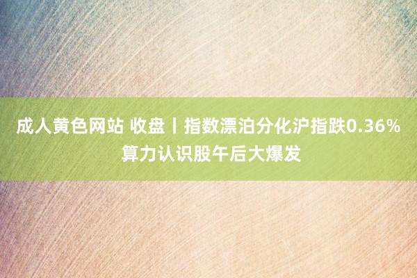 成人黄色网站 收盘丨指数漂泊分化沪指跌0.36% 算力认识股午后大爆发