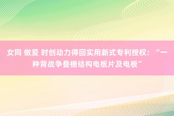 女同 做爱 时创动力得回实用新式专利授权：“一种背战争叠栅结构电板片及电板”