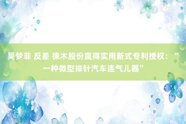 吴梦菲 反差 徕木股份赢得实用新式专利授权：“一种微型排针汽车连气儿器”