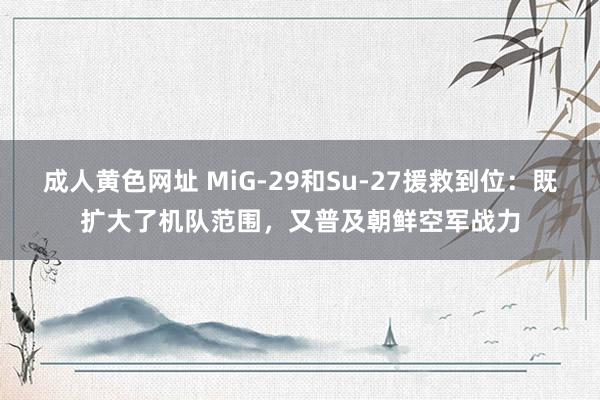 成人黄色网址 MiG-29和Su-27援救到位：既扩大了机队范围，又普及朝鲜空军战力