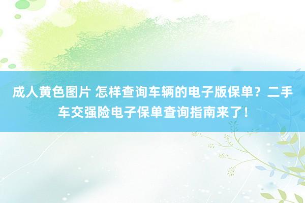 成人黄色图片 怎样查询车辆的电子版保单？二手车交强险电子保单查询指南来了！