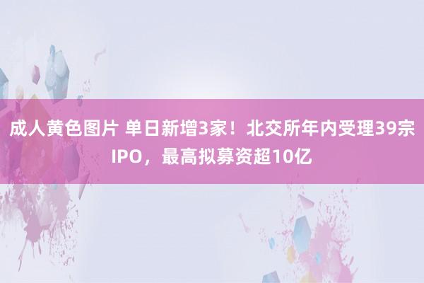 成人黄色图片 单日新增3家！北交所年内受理39宗IPO，最高拟募资超10亿