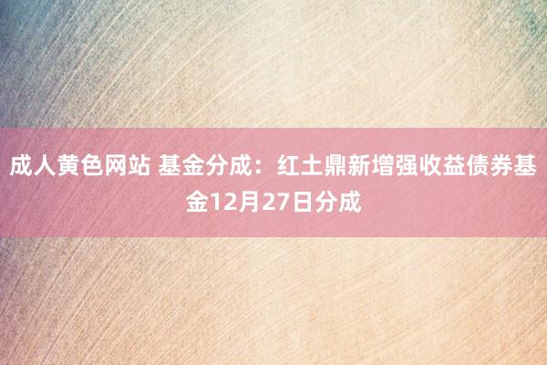 成人黄色网站 基金分成：红土鼎新增强收益债券基金12月27日分成