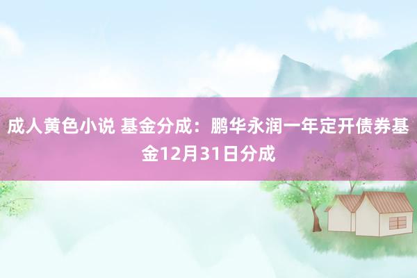 成人黄色小说 基金分成：鹏华永润一年定开债券基金12月31日分成