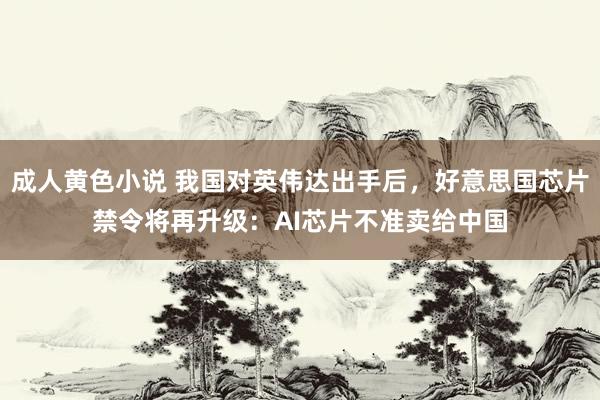 成人黄色小说 我国对英伟达出手后，好意思国芯片禁令将再升级：AI芯片不准卖给中国