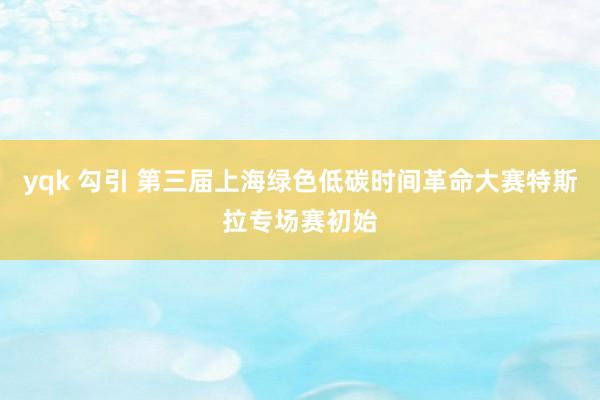 yqk 勾引 第三届上海绿色低碳时间革命大赛特斯拉专场赛初始